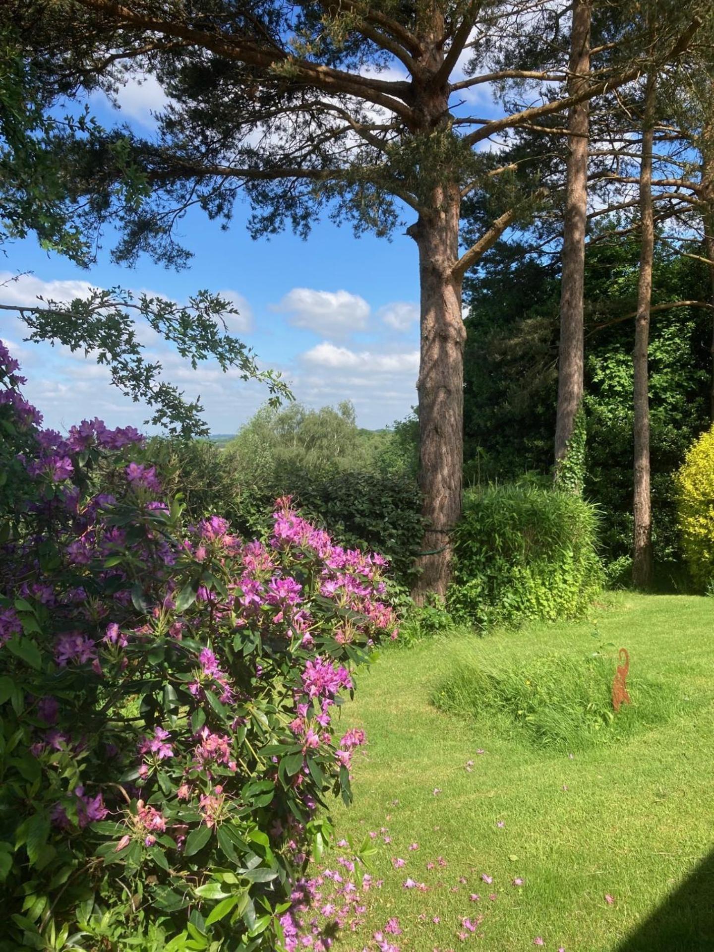 Oak Tree Cottage Uckfield Luaran gambar